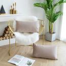 JUSPURBET Champagne Decorative Lumbar Velvet Throw Pillow Covers