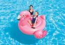 Intex 57558NP Flamingo Ride-On