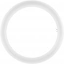 Osram LED Ring Light 20W; Osram Dulux D Bulb 26W; Miscellaneous Light