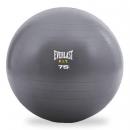 Everlast Exercise Ball, Gray (5515473) - $17.99 MSRP