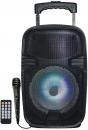 Max Power 8" LED PA Trolley Speaker with Built-In Rechargeable Battery (MPD844L) - $99.99 MSRP